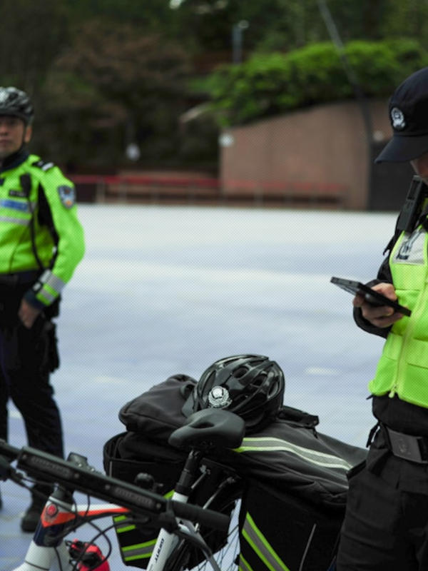 public_security geomaply